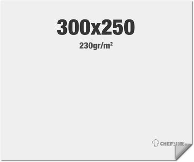 Syna STFR3000X2500SSK FlexFrame Wand Print 300 x 250 cm