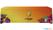 Syna Tafelkleed Economy Square Sublimation 265 X 155 cm - TCES265-155GSUB 4