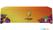Syna Tafelkleed Economy Square Sublimation 325 X 170 cm - TCES325-170GSUB 2