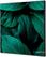 Syna Wanddecoratie Textiel SET 40 X 40 Botanische Bladeren Groen - TFR22W400-SET-I4