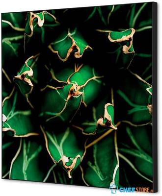 Syna Wanddecoratie Textiel SET 40 X 40 Cactus Groen - TFR22W400-SET-I820