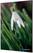 Syna Wanddecoratie Textiel SET A1 Witte Bloem Sneeuwklokje - TFR22WA1-SET-I24