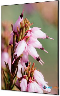 Syna Wanddecoratie Textiel SET A1 Roze Bloem Erica - TFR22WA1-SET-I5