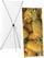 Syna X-Banner Budget 80 X 200 cm - XBB80-200 4