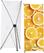 Syna X-Banner Premium 60 X 160 cm - XBP060 4