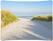 Syna Zipper-Wall Curved Print Enkelzijdig 500 X 230 cm - ZWC500-230G 2