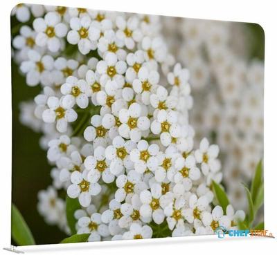 Syna Scheidingswand Textiel 150-150 Dubbelzijdig Witte Bloem Spirea - ZWSE150-150SSK-DSI3