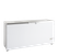 TEFCOLD Diepvrieskist - FR605S SL 1
