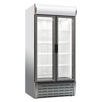 VITRINE met KLAPDEUREN 1100X695X2010mm - TOP900 1