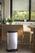 DECOBIN Vuilnisbak met Pedaal 50L - 240643 3