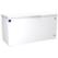 Mastro Diepvriezer (459 Liter) Met Vast Deksel, -24°C | Mastro | BGA0004/S | BGA0004/S 1