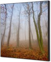 Syna Wanddecoratie Textiel SET 40 X 40 Herfst Mist - TFR22W400-SET-I823