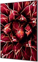 Syna Wanddecoratie Textiel SET A1 Cactus Rood - TFR22WA1-SET-I821
