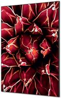 Syna Wanddecoratie Textiel SET A1 Cactus Rood - TFR22WA1-SET-I821