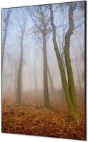 Syna Wanddecoratie Textiel SET A1 Herfst Mist - TFR22WA1-SET-I823