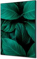 Syna Wanddecoratie Textiel SET A2 Botanische Bladeren Groen - TFR22WA2-SET-I4