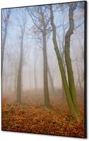 Syna Wanddecoratie Textiel SET A2 Herfst Mist - TFR22WA2-SET-I823