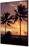 Syna Wanddecoratie Textiel SET A2 Palmbomen Zonsondergang - TFR22WA2-SET-I826