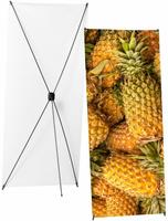 Syna X-Banner Budget 80 X 200 cm - XBB80-200