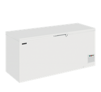 Elcold BEWAARDIEPVRIES JUMBO 700 LT - EL71