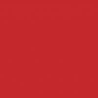 Frontal Decoration Panel For Refrigerated/warm Preparation Counters RED1064 W=460 mm