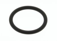 070135 Sealing ring