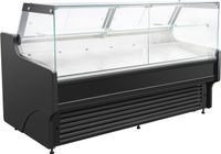 CombiSteel KOELVITRINE THOMAS 2.0 - 7090.0210