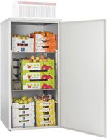 Mini Koelcel | Koelkast Voor Opslag | 2000 Liter | Excl. motor | Diamond | ASM/200