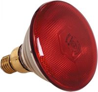 Warmtelamp 175W | 093500