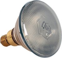 Warmtelamp 175W | 093510
