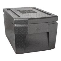 Isoleerbox (Cap.Gn1/1-250Mm) | Thermo Future Box | 235014