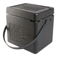 Thermo Future Box 235065 Shopping box 15L