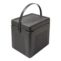 Thermo Future Box 235066 Shopping box 20L