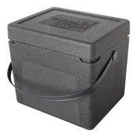 Thermo Future Box 235067 Shopping box 33L