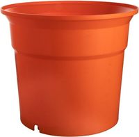 Buiten Bak Compleet - Dynamic 551908