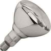 Warmtelamp 250W | 710206