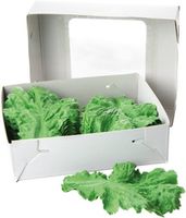 Decoratiegroen | 828010