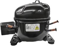 Polar AG872 Compressor (R600A)