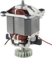 Buffalo AJ047 Motor