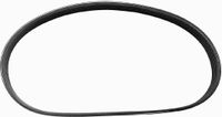AM361 Buffalo riem