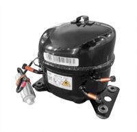 Polar AP410 Compressor