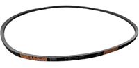 Polar AW236 riem