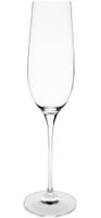 Olympia Campana champagneflute kristal 26cl |  CS496