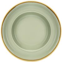 Olympia Kiln Pastakommen 250mm Mosgroen (4 Stuks) - Olympia DC307