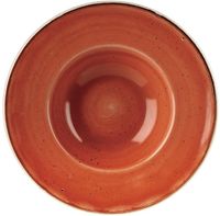 Churchill Stonecast Spiced Orange Kom met Brede Rand Medium 23.88 cm Pak van 12 - DF795