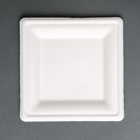 Fiesta Green Composteerbare Bagasse Borden Vierkant (50 Stuks), Fiesta Green FC520