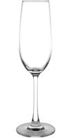 Olympia Modale champagneglazen 21,5cl | GF728