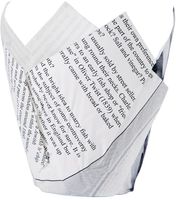 Frietzak krantenpapier opdruk - GK973