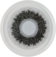 Churchill Super Vitrified Churchill Studio Prints Fusion Black Walled Bord met Opstaande Rand 21 cm Pak van 6 - HR306