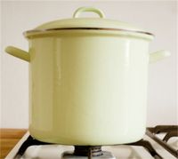 Riess High Pot With Lid 22cm Light Green, gastronoble O7910